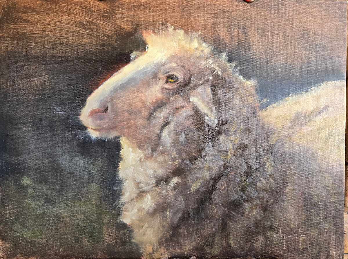 EWE by Donna Pate 