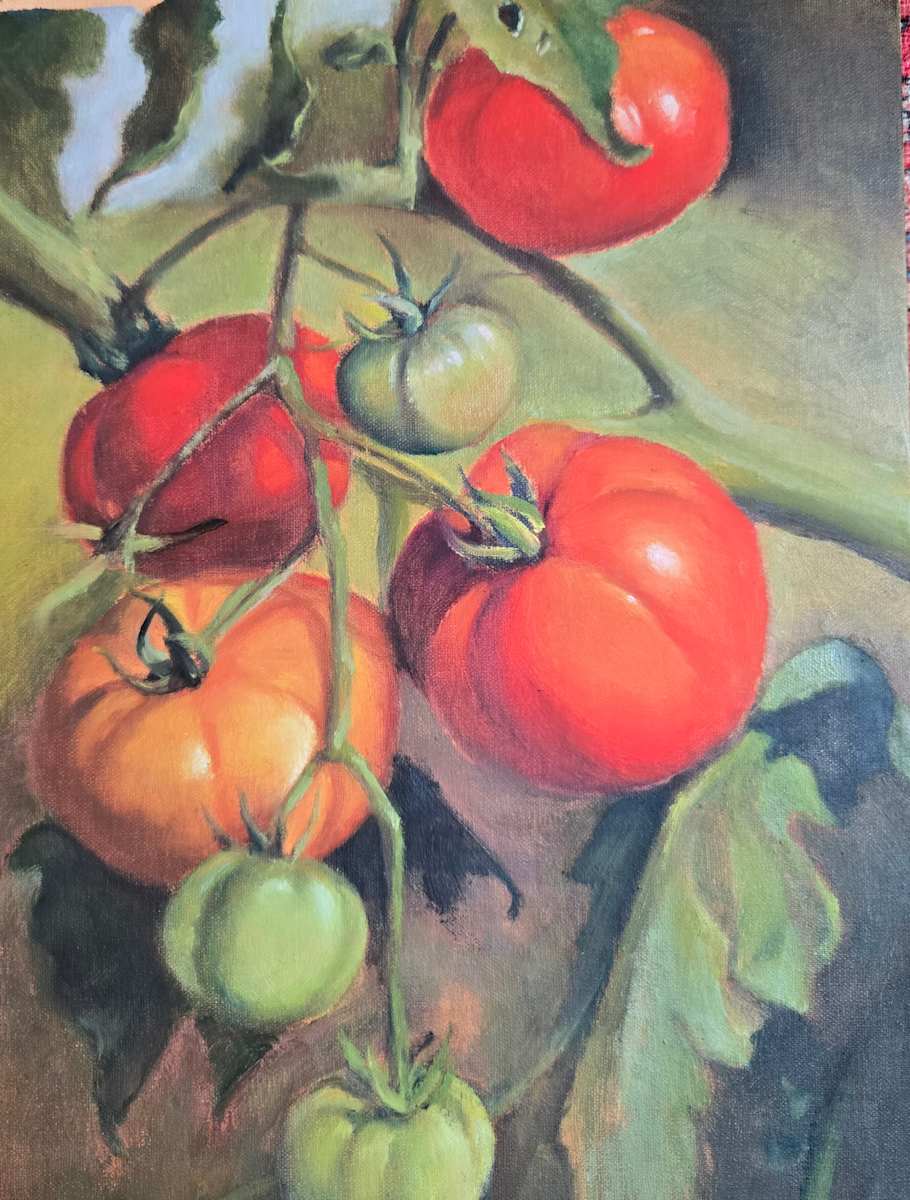 Vine Ripe Tomatoes by Donna Pate, Image 1.
