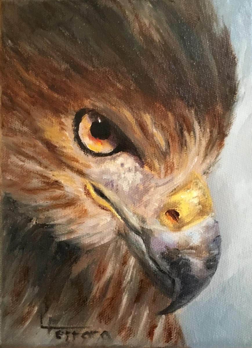 Hawkeye by Lina Ferrara 