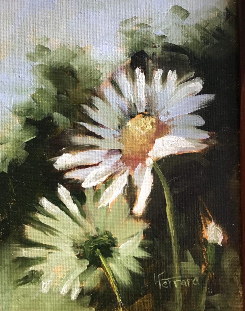 Summer Daisy by Lina Ferrara 