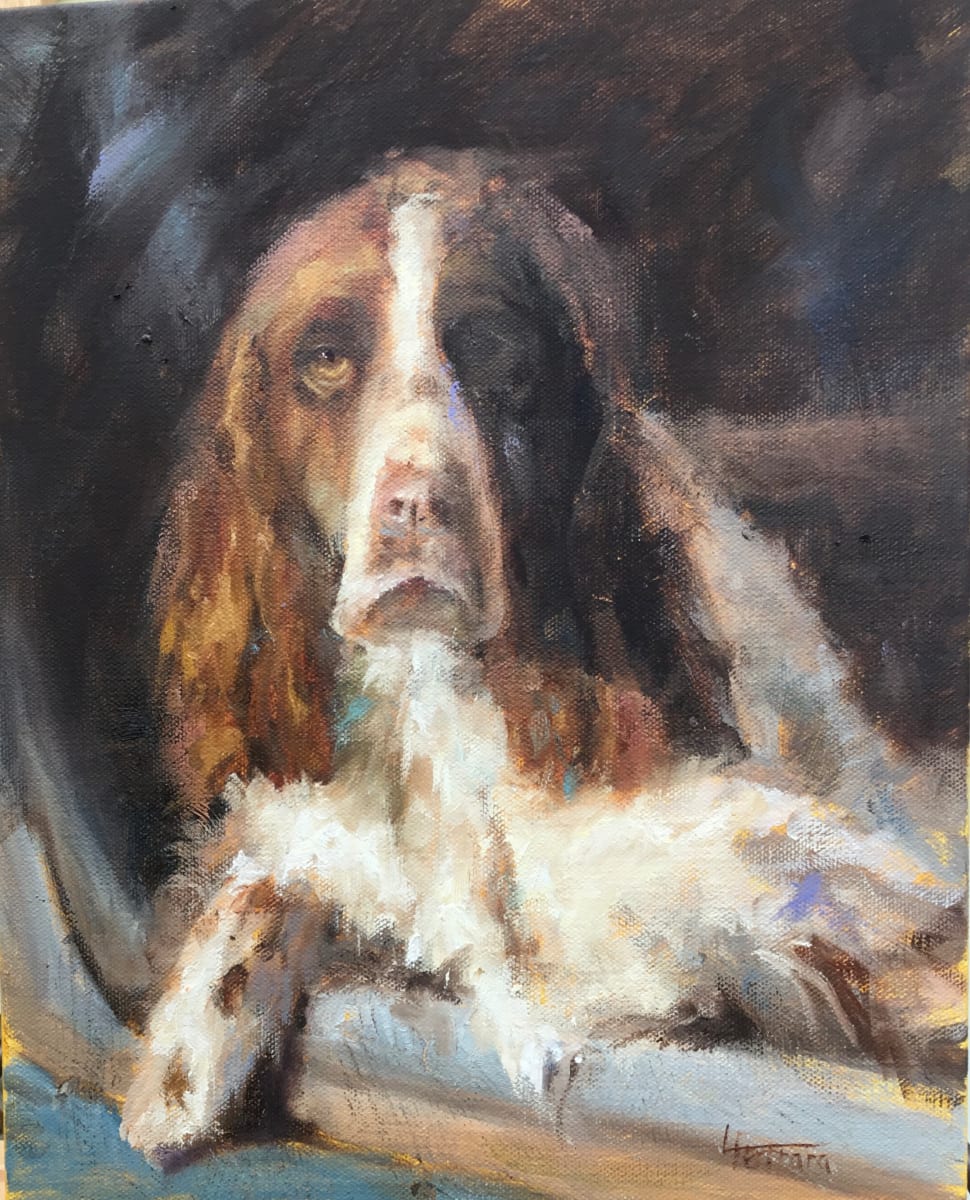 Springer Spaniel by Lina Ferrara 