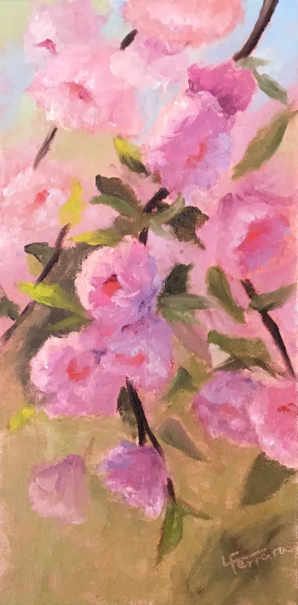 Cherry Blossoms by Lina Ferrara 