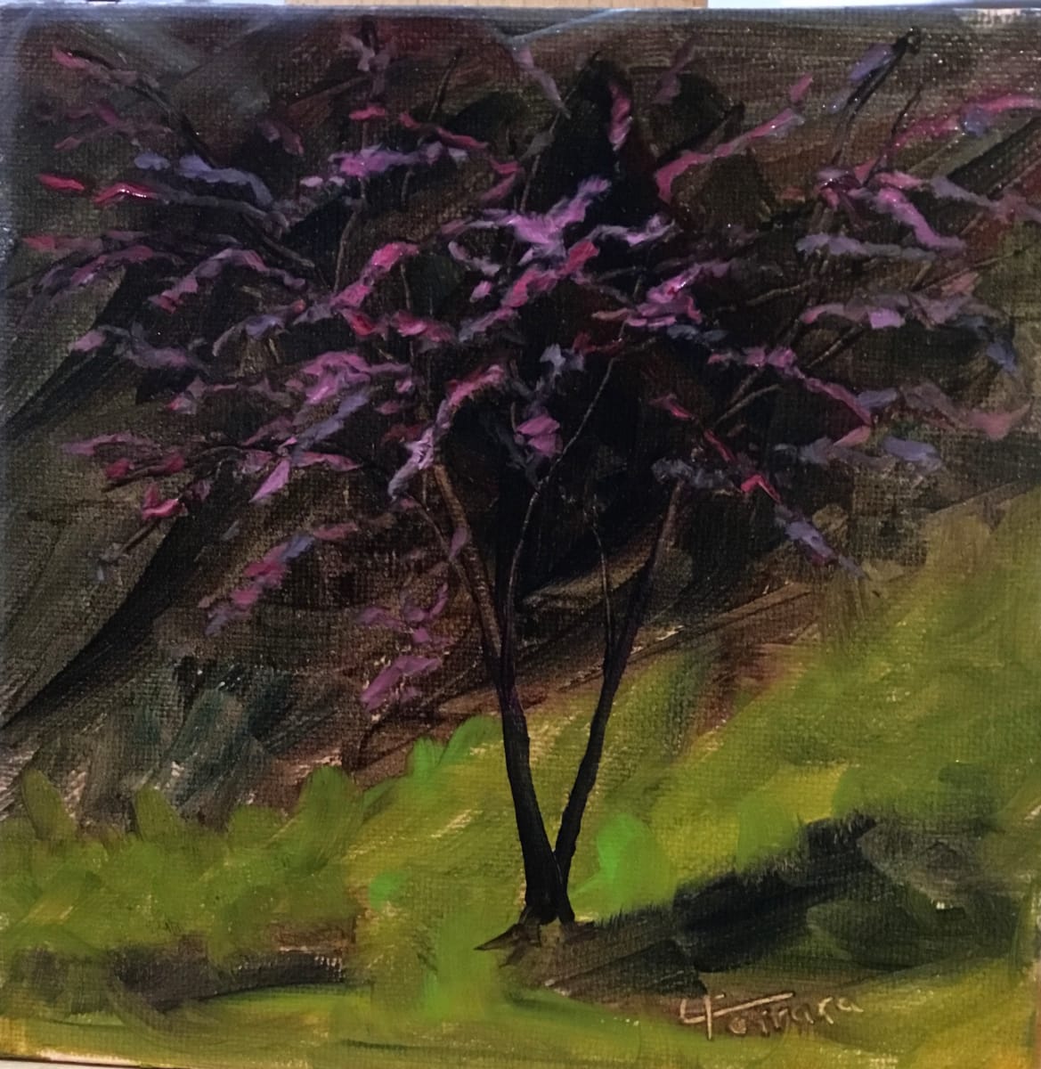 Redbud by Lina Ferrara 