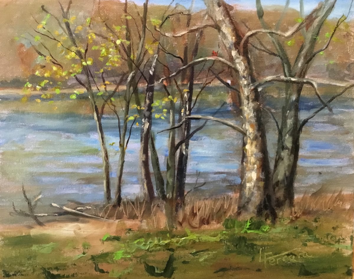 A Sprinkle of Green by Lina Ferrara, Image 1.