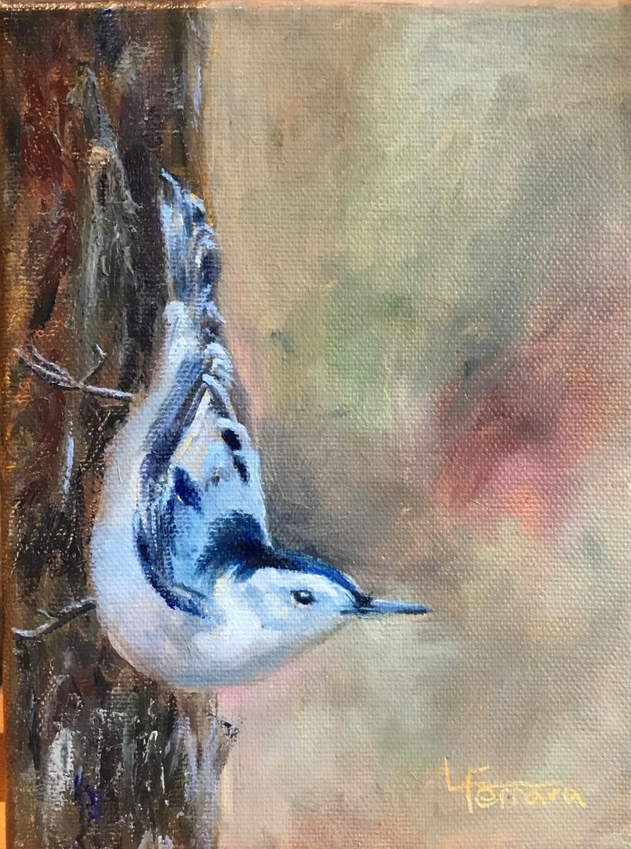 Nuthatch by Lina Ferrara 