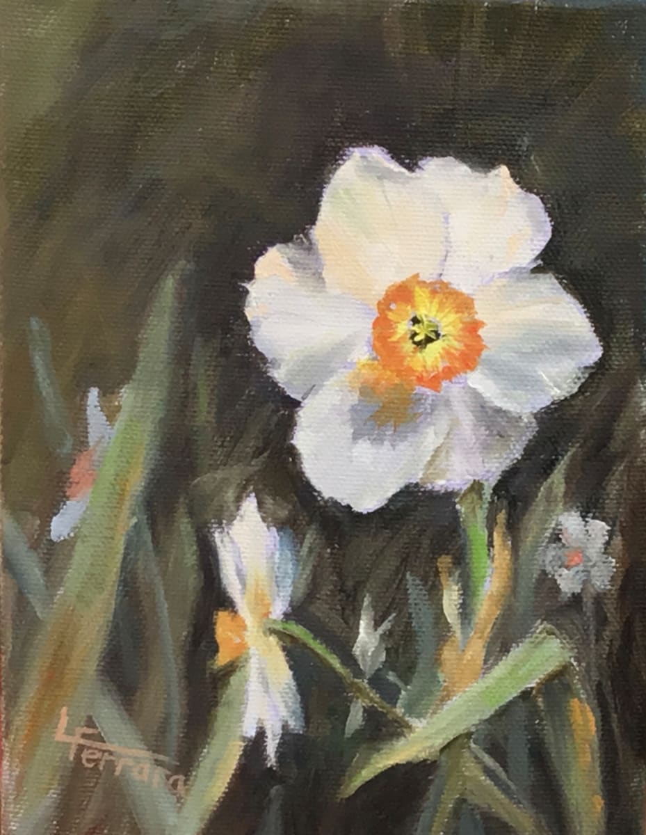 Narcissus by Lina Ferrara 