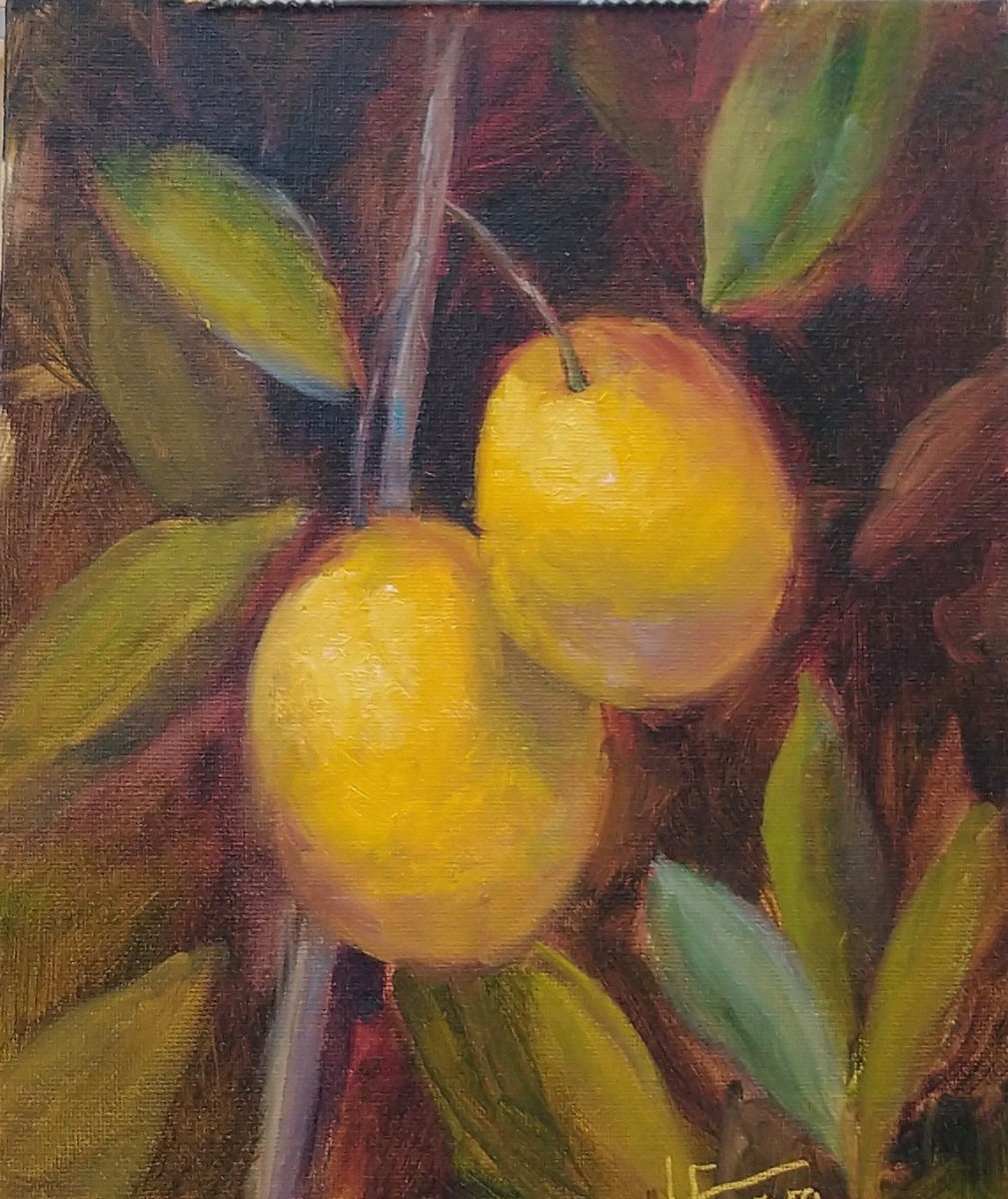 Mansion Lemons by Lina Ferrara 