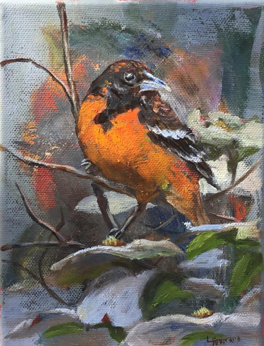 Baltimore Oriole by Lina Ferrara 