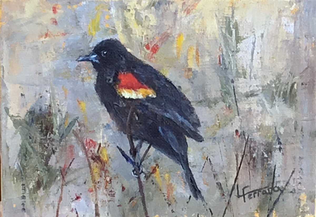 Redwing Blackbird by Lina Ferrara, Image 2.