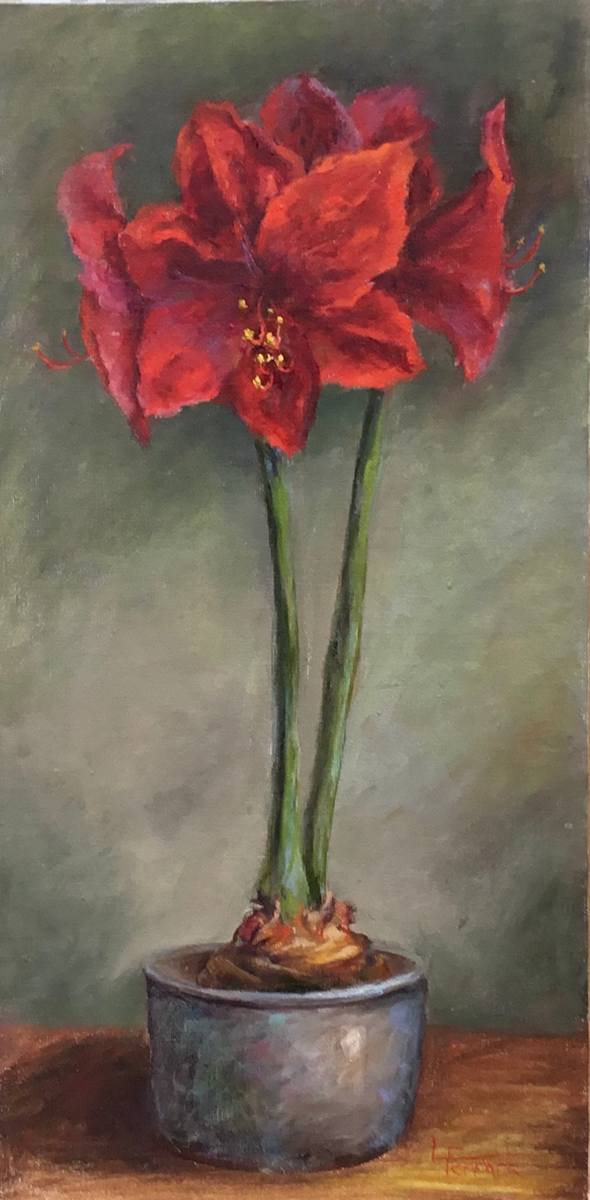 Amaryllis in Bloom by Lina Ferrara, Image 1.
