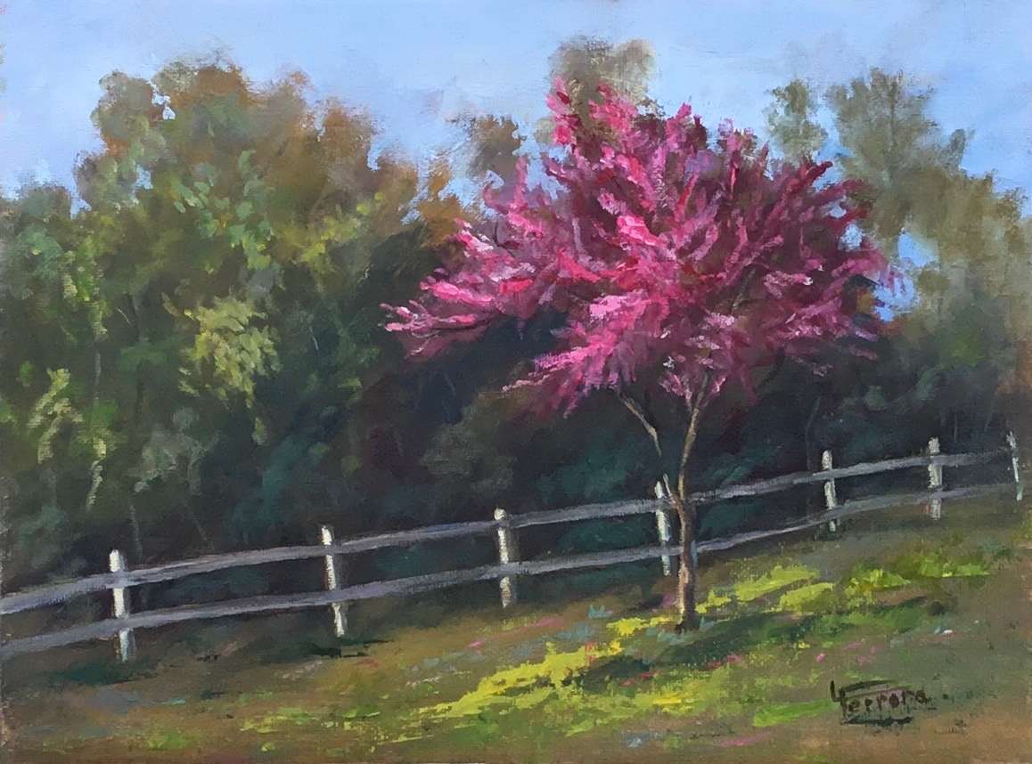 Redbud Tree by Lina Ferrara, Image 8.