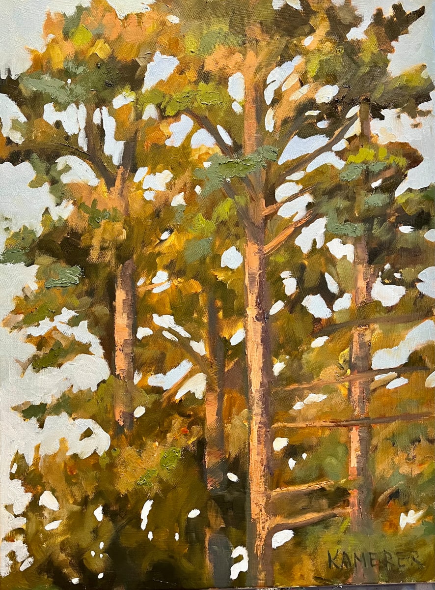 Golden Hour on the Pines by Mary Kamerer Impressionist Painting  Image: It’s always a thrill to capture that golden light in the early evening, but to capture it on these long-leaf pines made them feel like beacons to anyone who call the South their home.