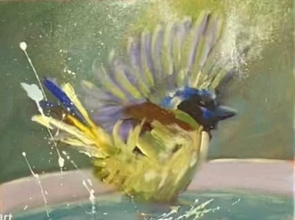 Splish-Splash at the Bird Bath 1 by Mary Kamerer Impressionist Painting  Image: Having fun at the bird-bath! This cheery fellow is making a raucous splashing and I’ve joined in with splattered paint and layers of textured feathers. Framed in Italian-made black wooden frame.