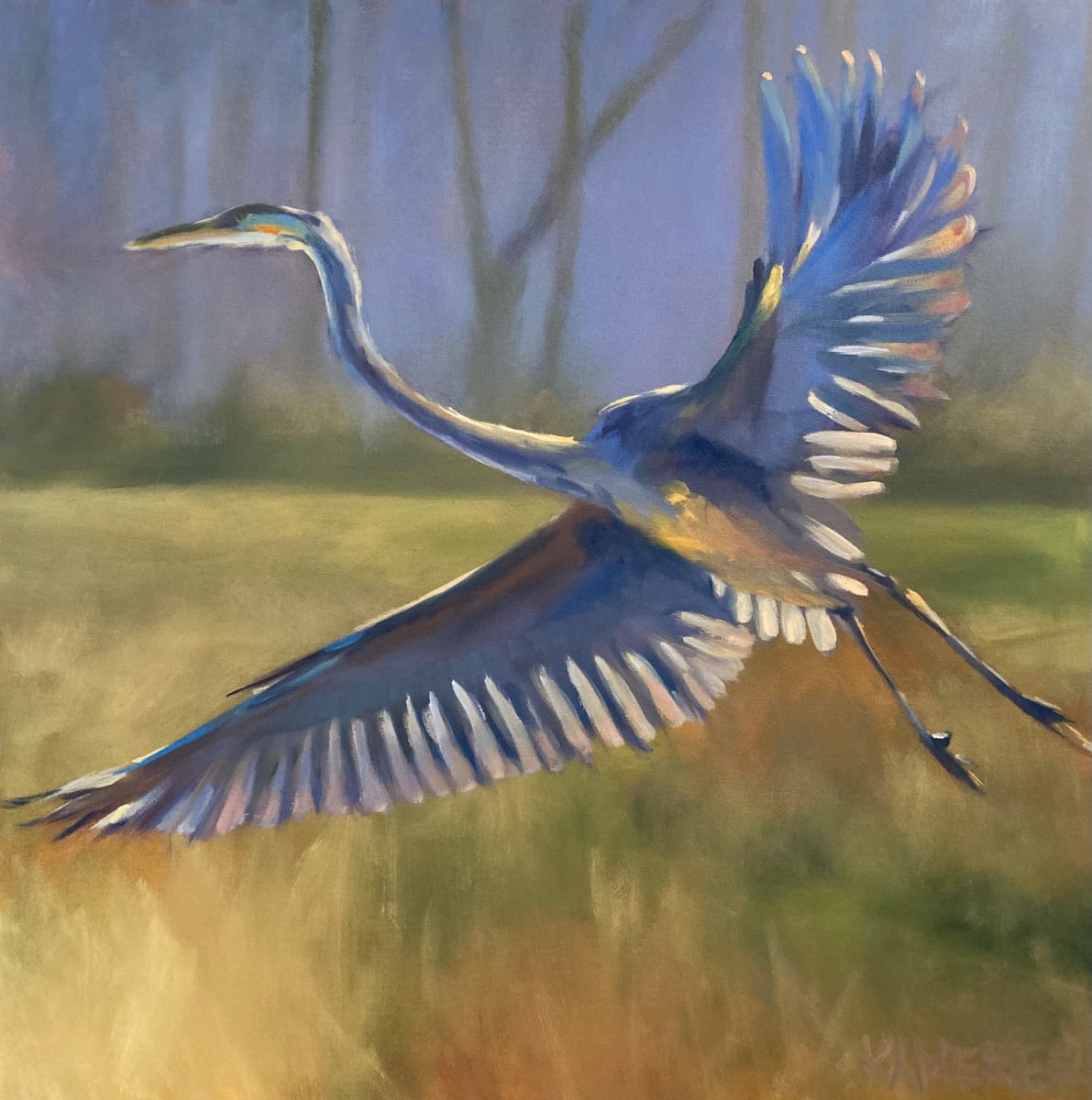 Illuminated Lift-Off by Mary Kamerer Impressionist Painting  Image: Majestic in their size and grace, a great blue herong lifts from low country grasses of a marsh. Light catches the translucency of his wings and illuminates them in lift-off.