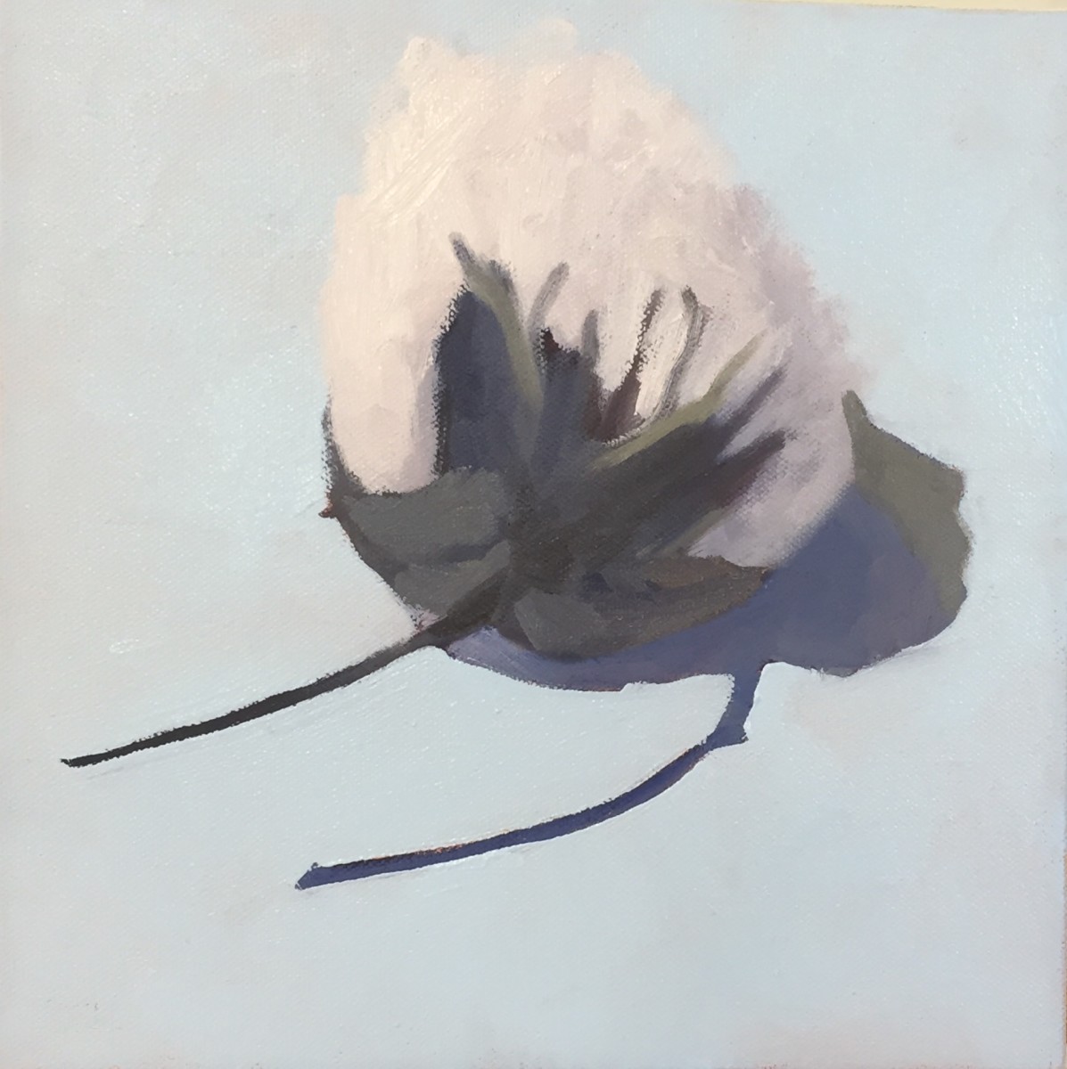 Cotton Bolls by Mary Kamerer Impressionist Painting 