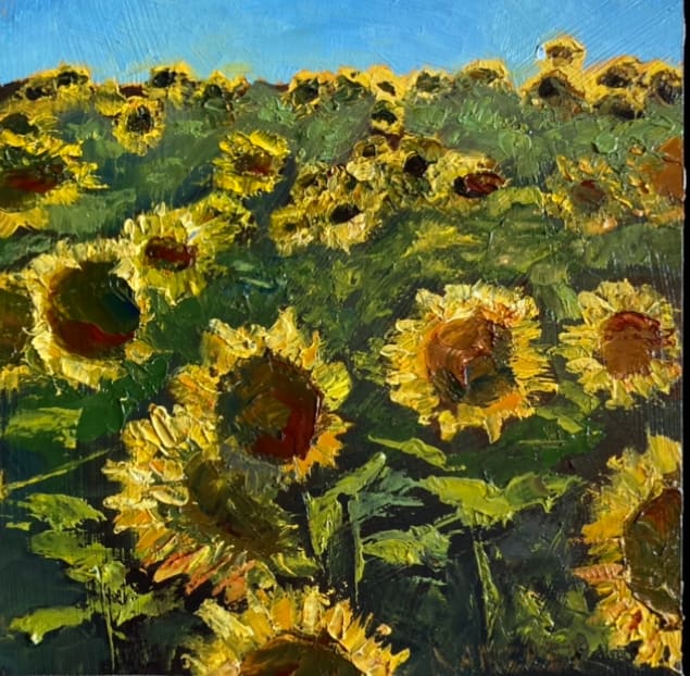 Field of Sunflowers 