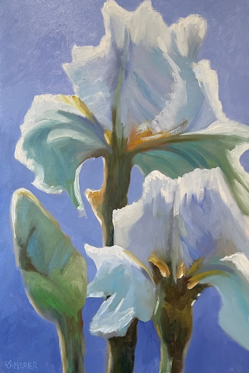 Iris Study by Mary Kamerer Impressionist Painting  Image: How to capture the stages of the elegant iris as it develops from bud to glorious bloom? Painting all three on one canvas allowed me to play with color, composition and light. The result is a modern still life floral with rich values in periwinkle, greens, yellows and white. 