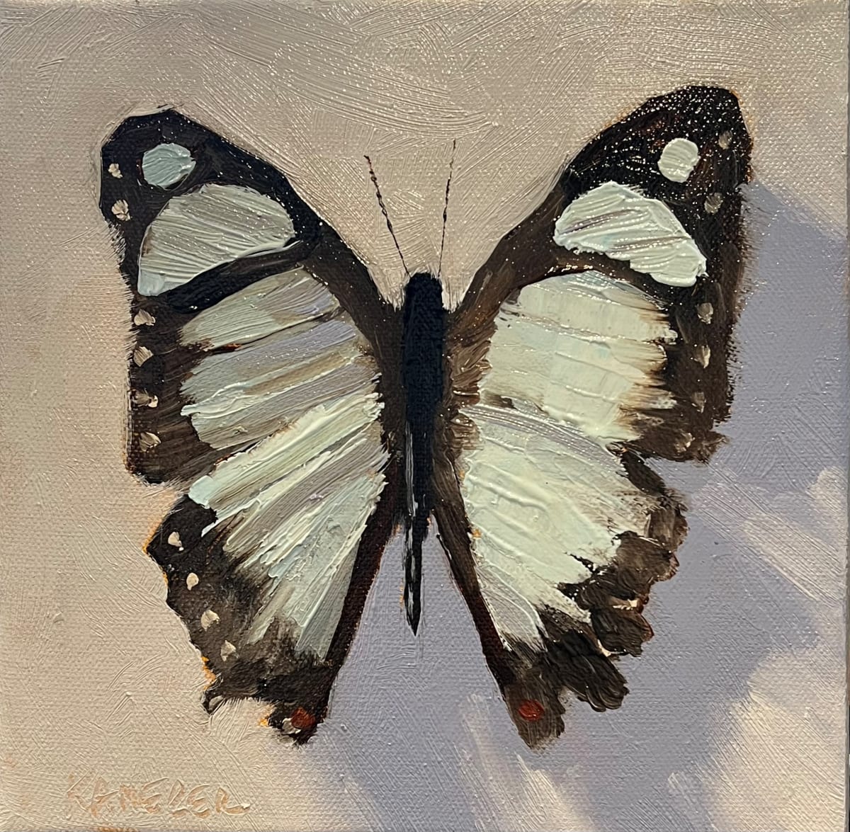 Soft Blue Butterfly by Mary Kamerer Impressionist Painting 