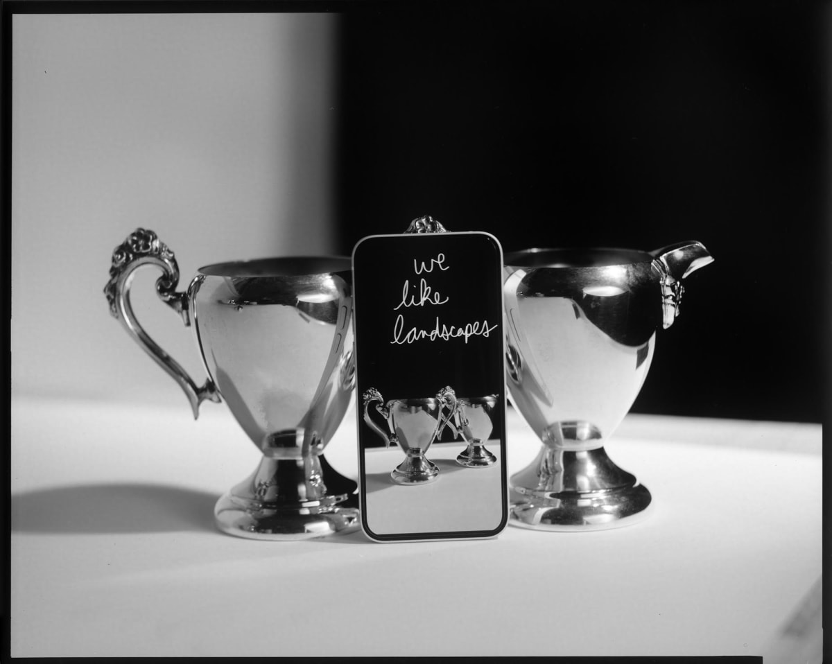 We Like Landscapes (horizontal) by Brooke Burton 