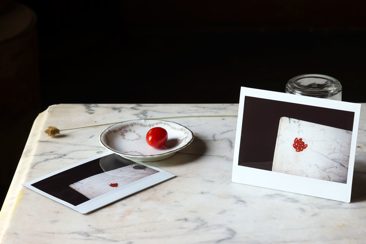 Tomato by Brooke Burton 