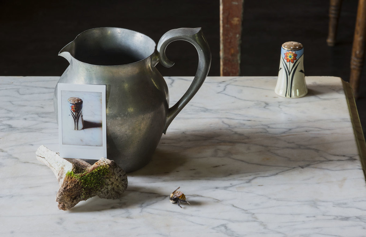 Shakers by Brooke Burton 