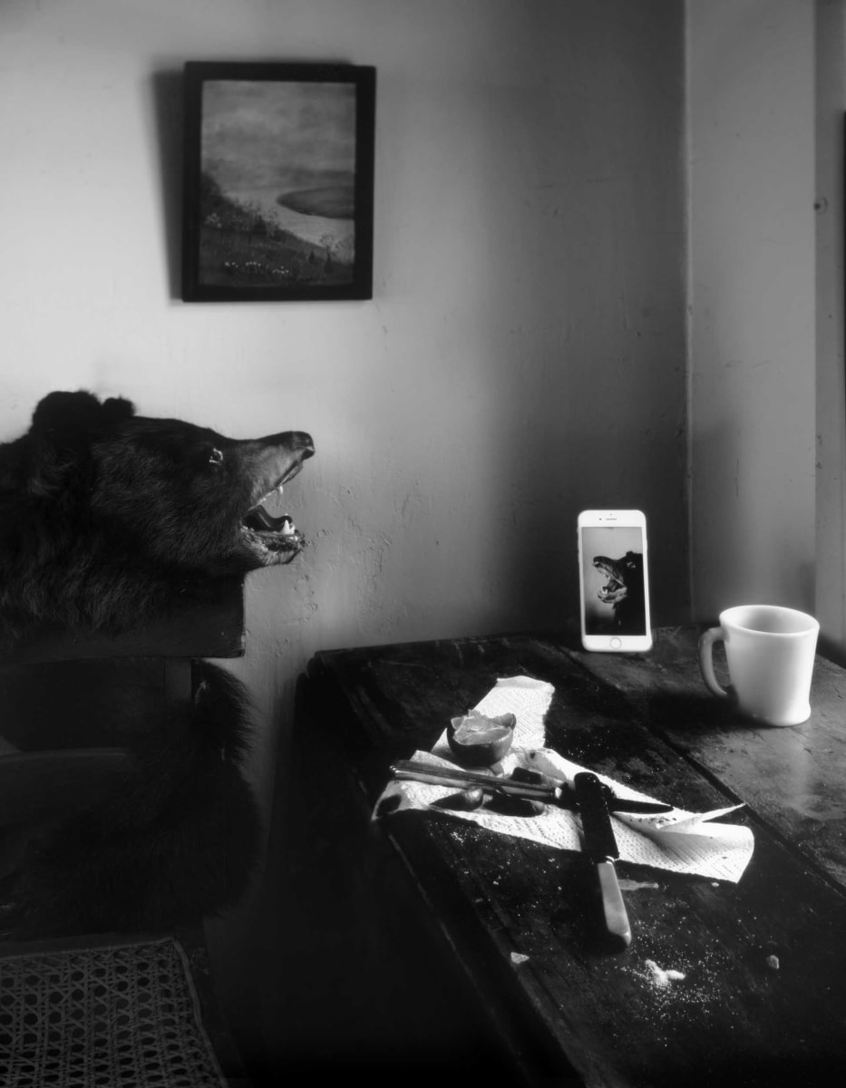 Bears by Brooke Burton, Image 2.