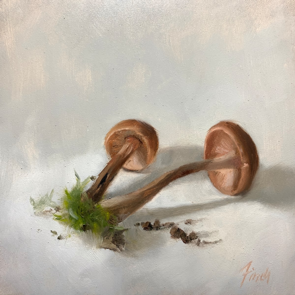 Bounty from Shady Places by Rebecca Finch 
