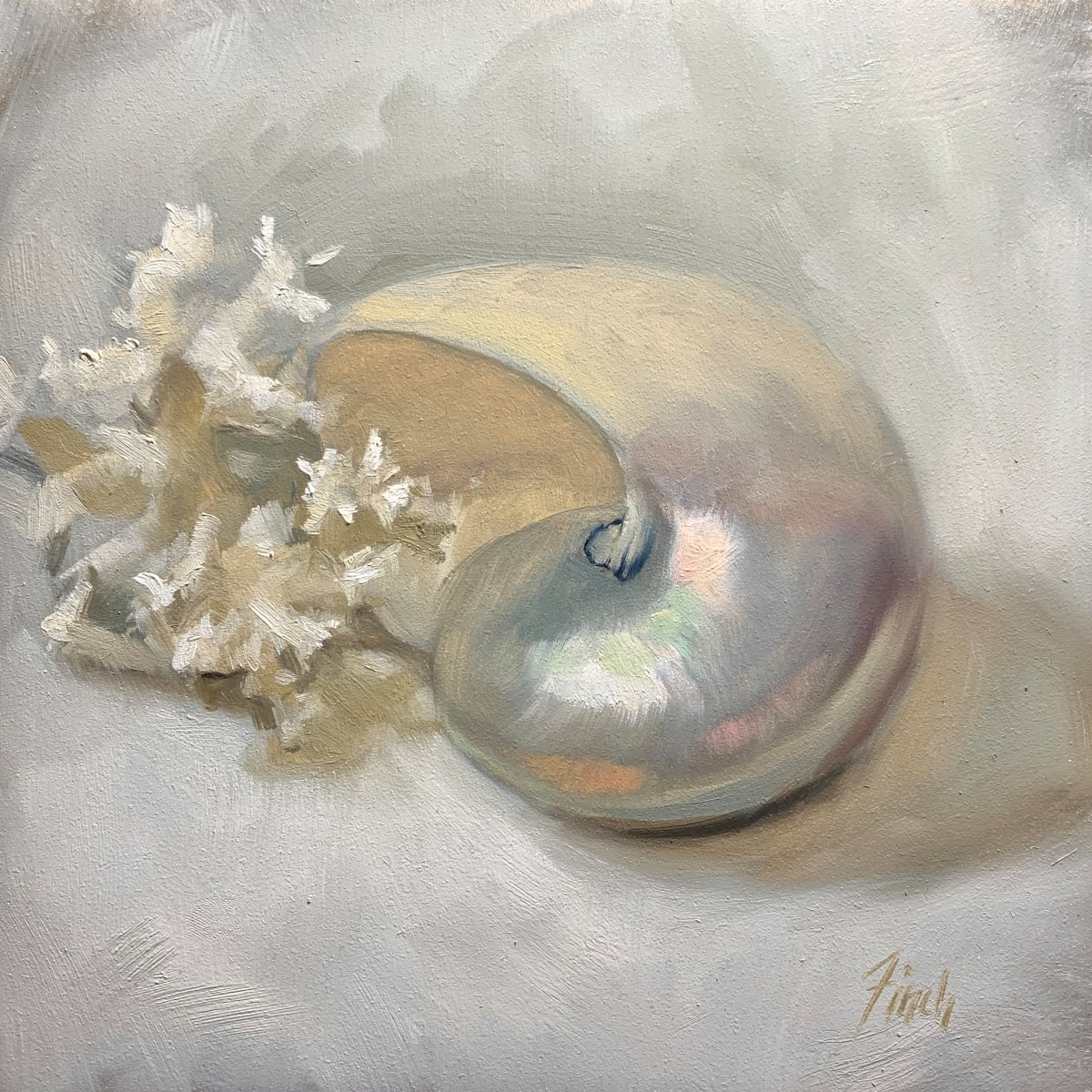 Gem from the Sea by Rebecca Finch 