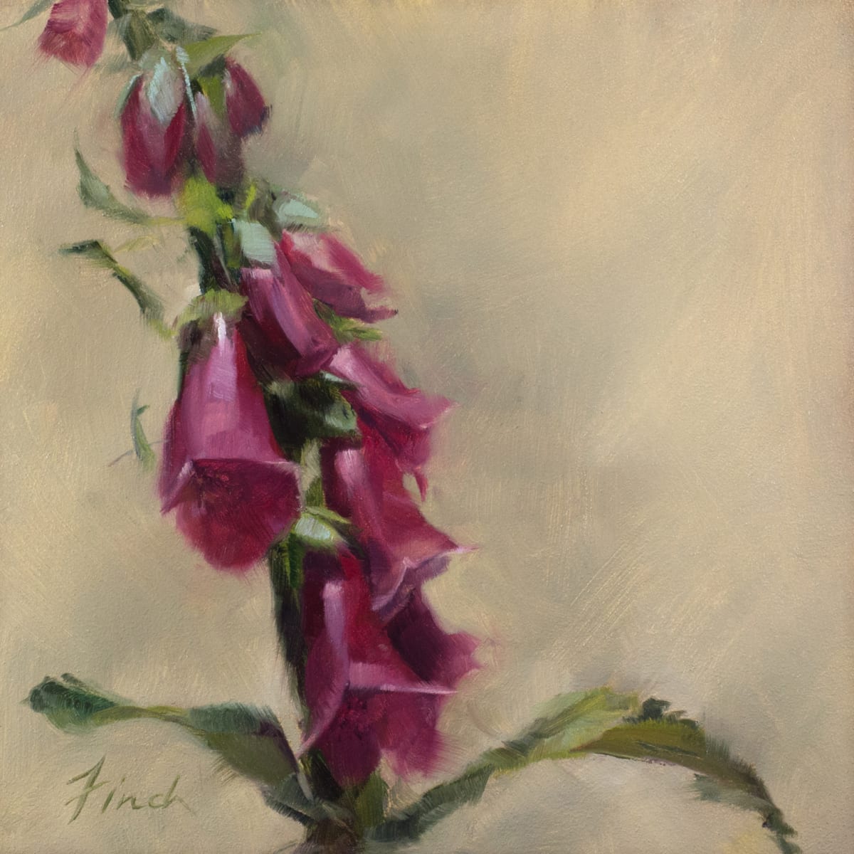 Healed by Rebecca Finch 