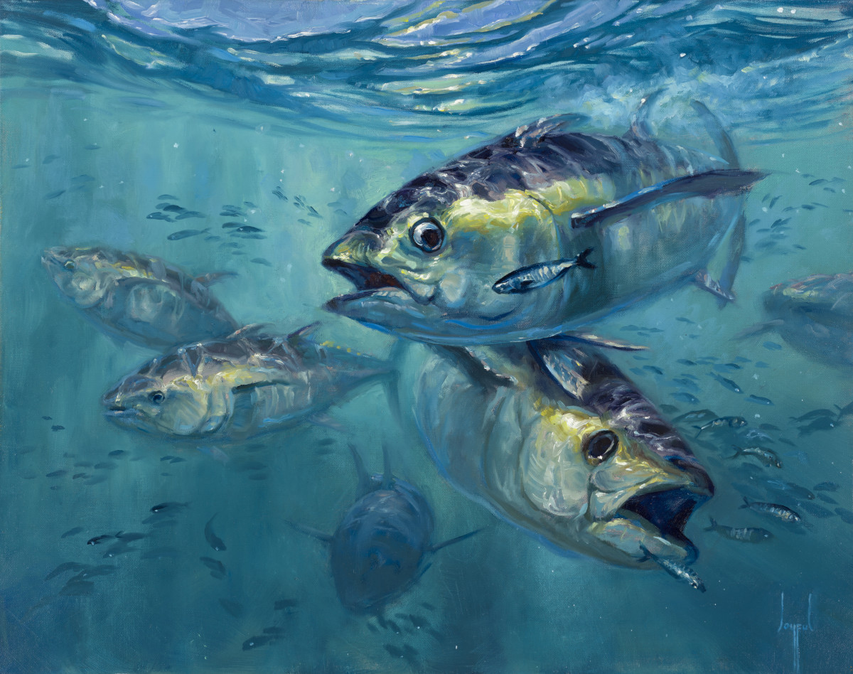 Bluefin Rivalry by Joyful Ward, Image 1.