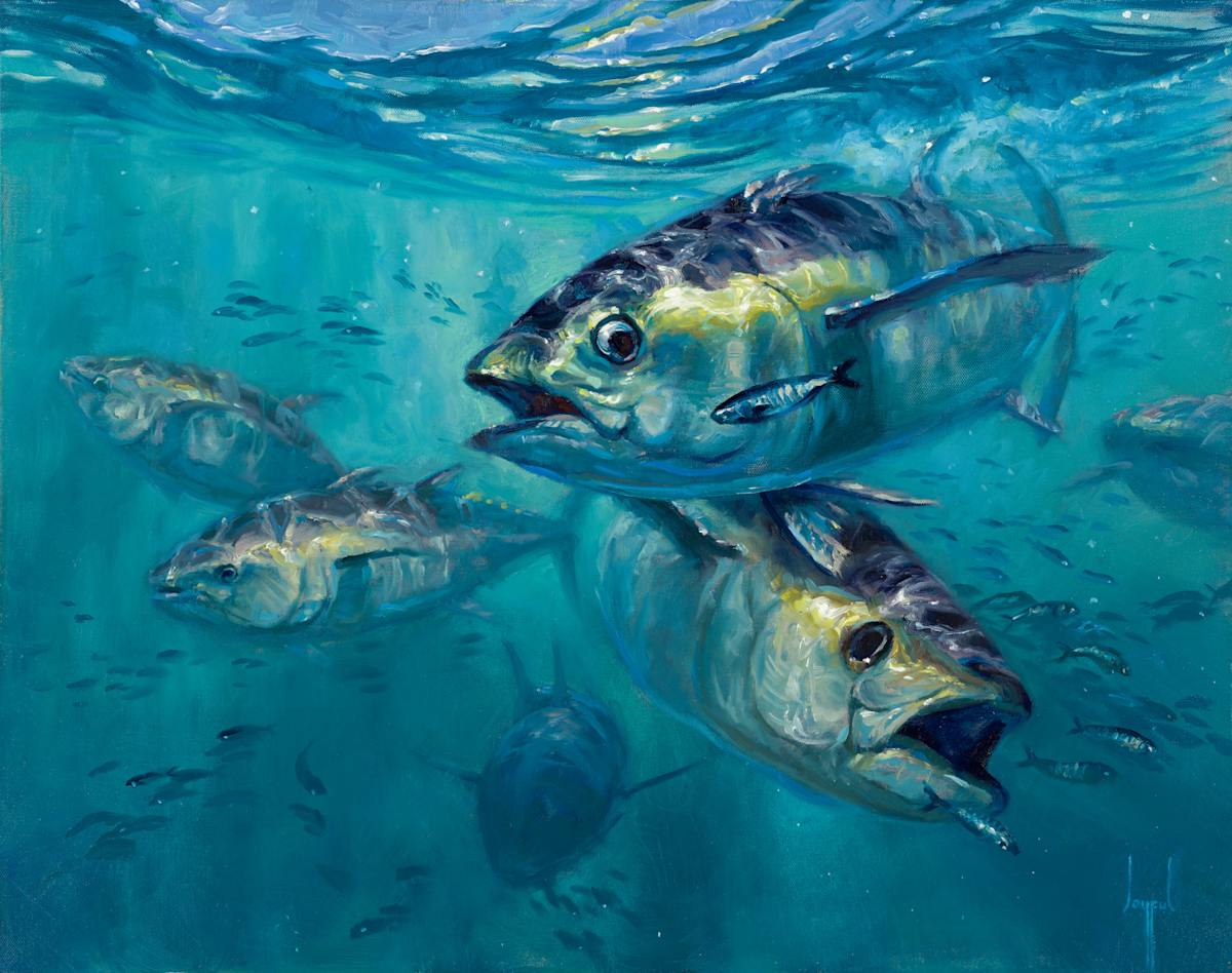 Bluefin Rivalry by Joyful Ward, Image 1.