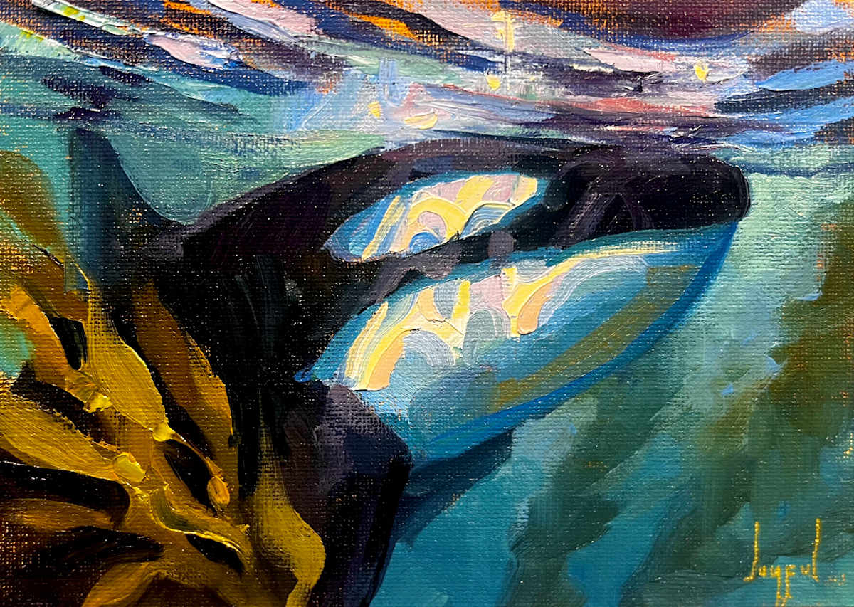 Orca Morning by Joyful Kohola, Image 1.