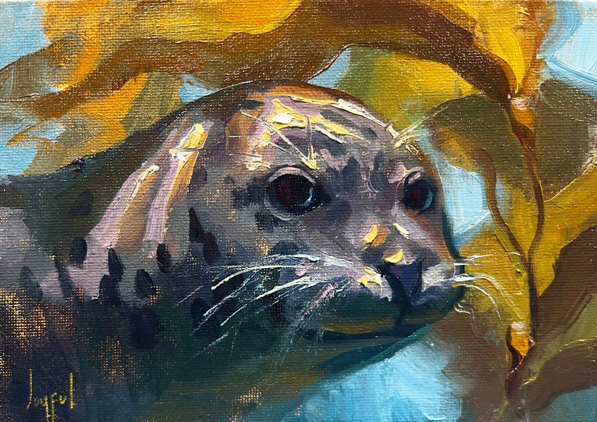 Skeptical Seal by Joyful Kohola, Image 1.