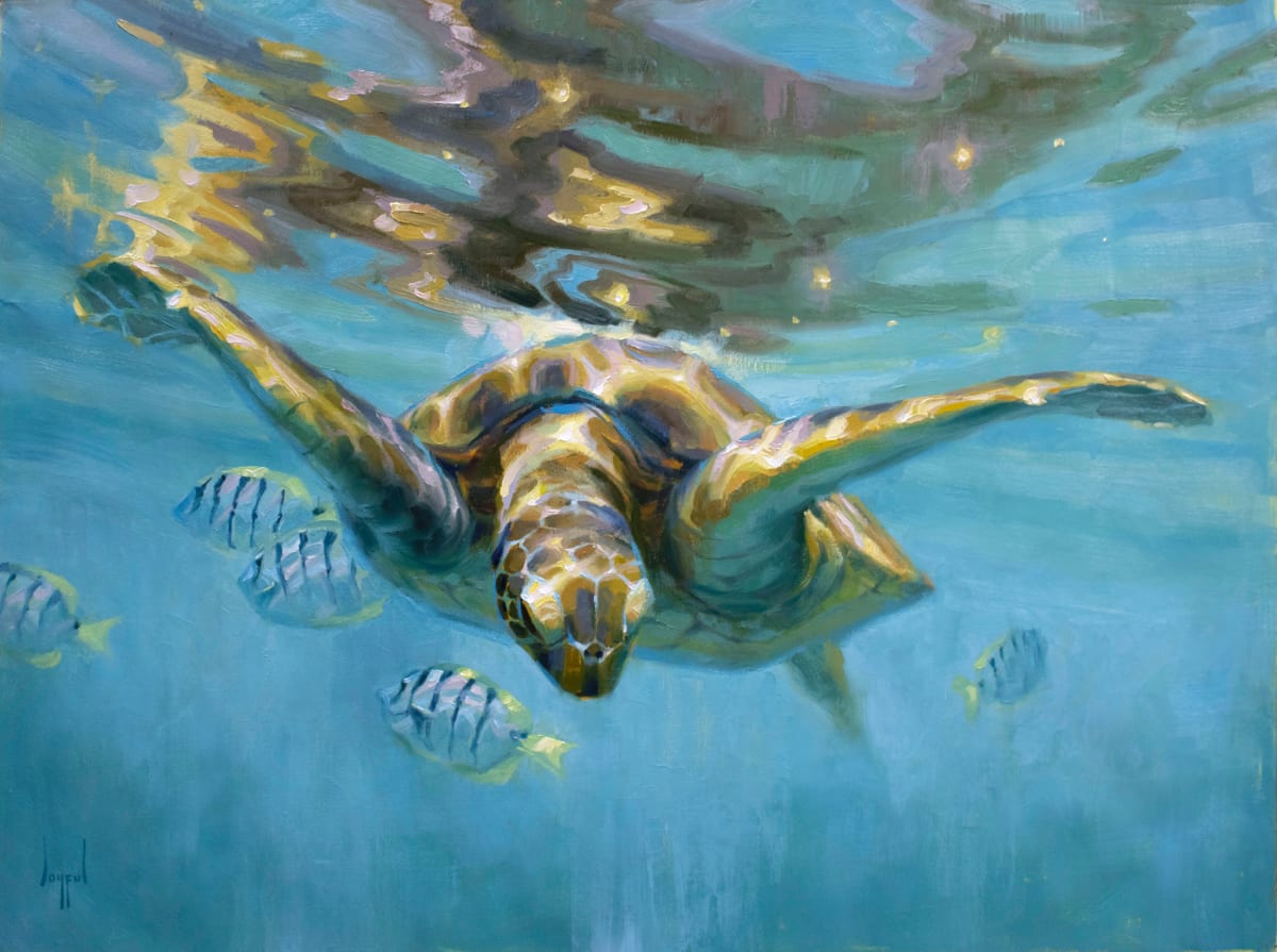 Finding Rest by Joyful Ward, Image 5.