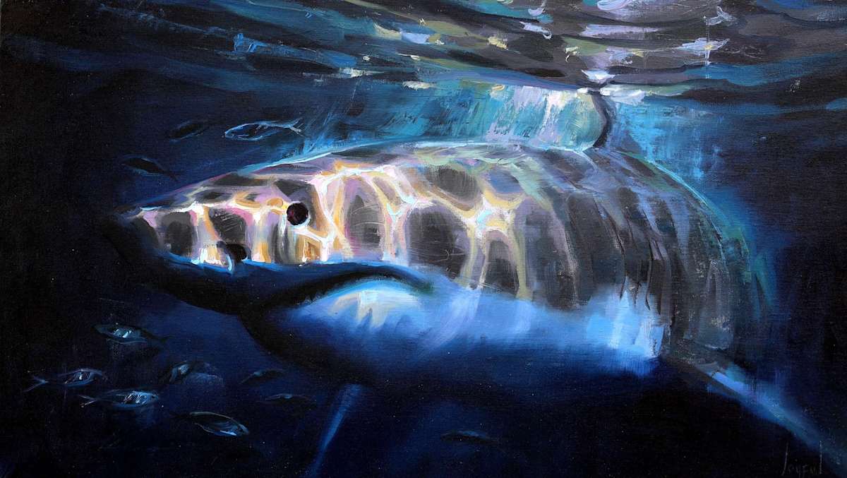 Transcending Light & Shadow by Joyful Kohola, Image 2.