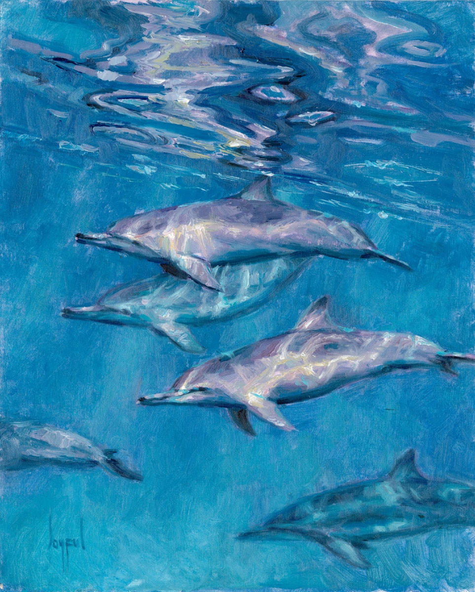 Stirred Not Shaken by Joyful Ward 