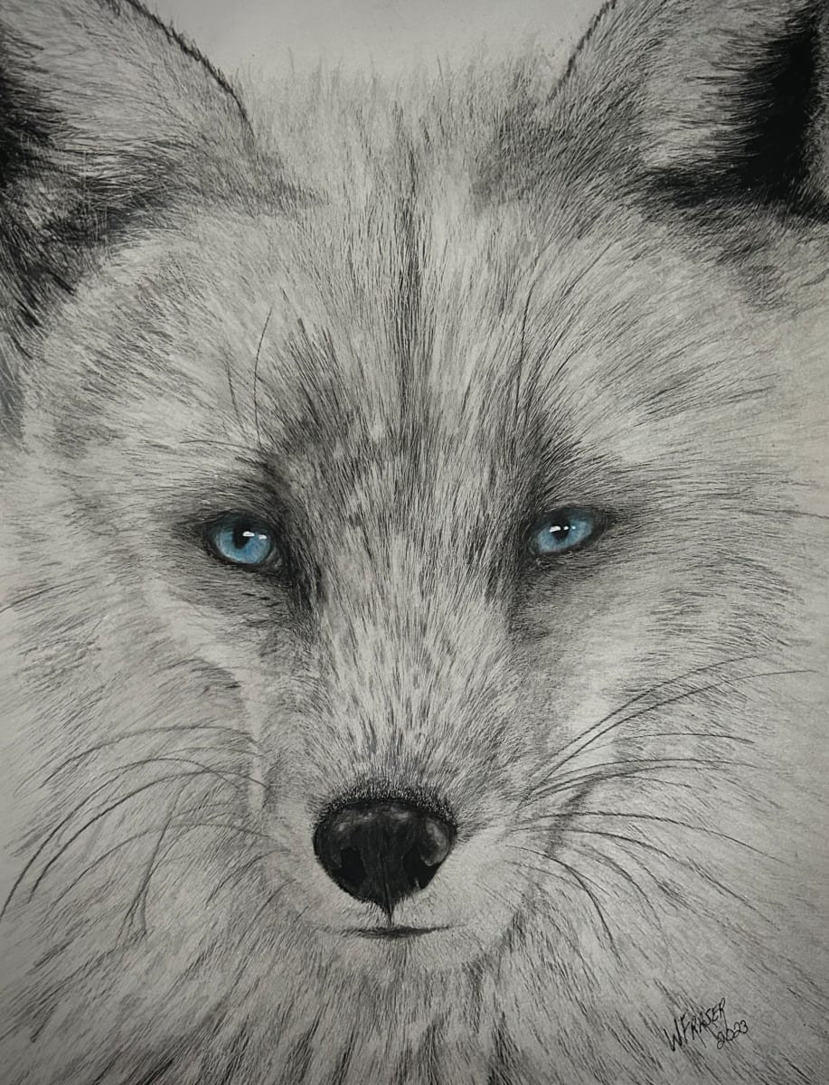 Arctic Fox by Wanda Fraser 