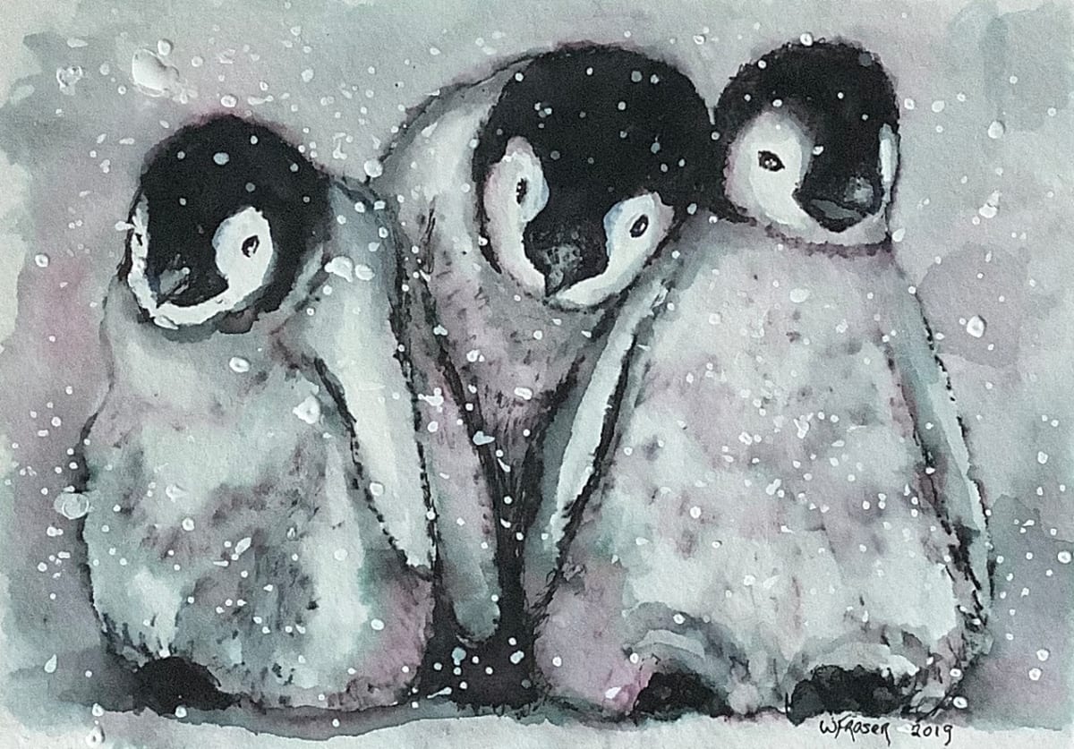 Baby Penguins by Wanda Fraser  Image: Baby Penguins