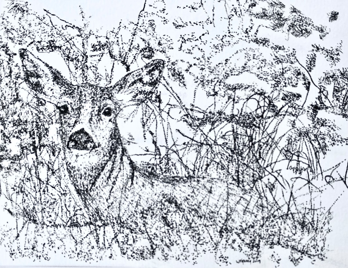 Deer in the Woods  Image: Stipple Technique