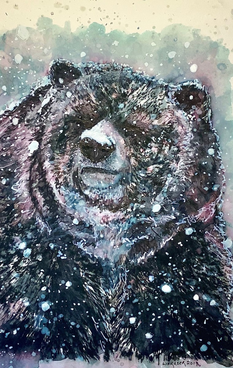 Snowy Day - Canadian Grizzly by Wanda Fraser 