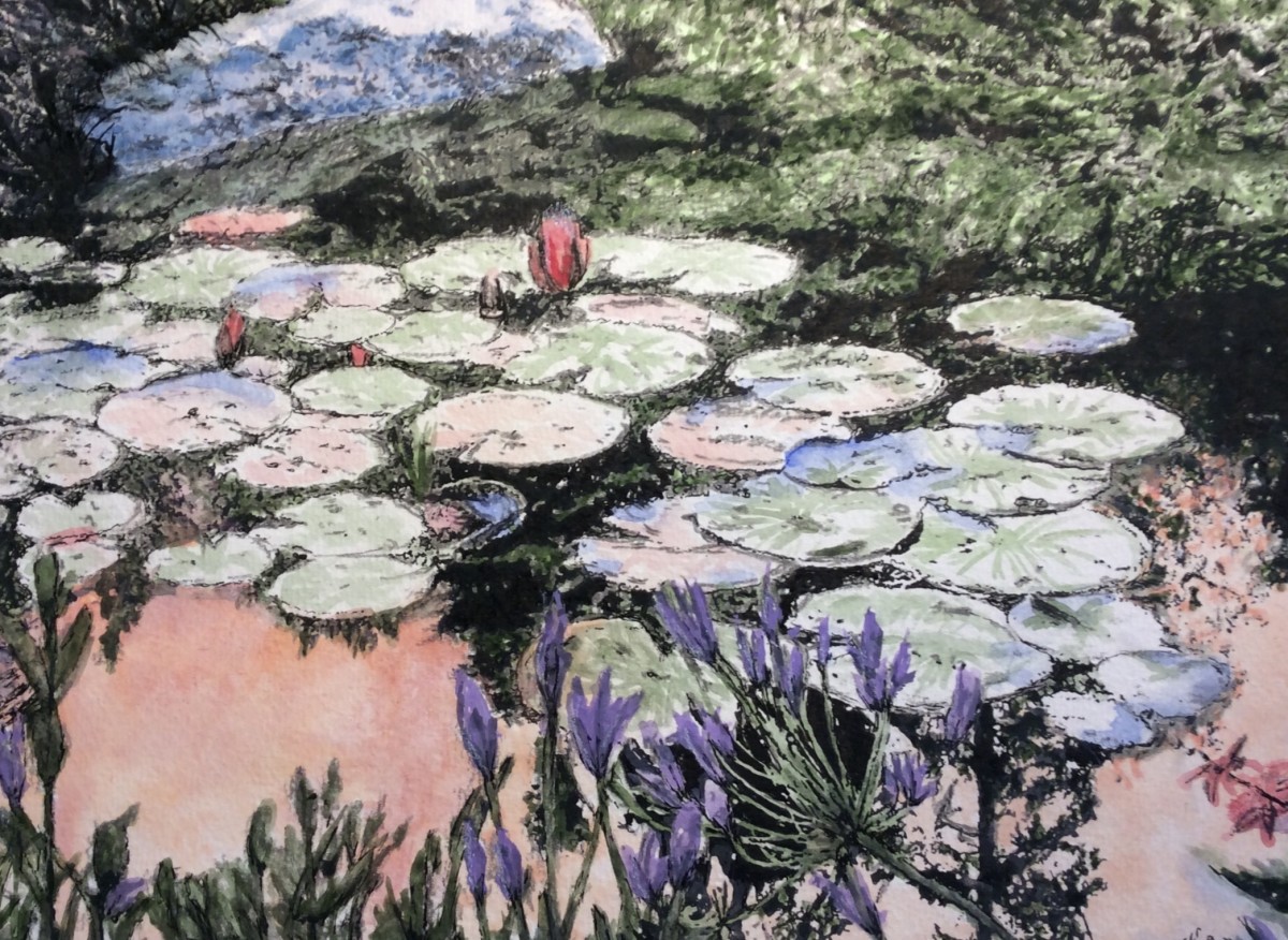 Lilypads - Sunset Reflection by Wanda Fraser 