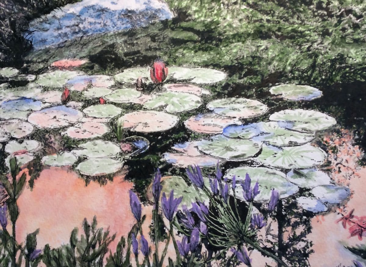 Lilypads - Sunset Reflection by Wanda Fraser, Image 1.