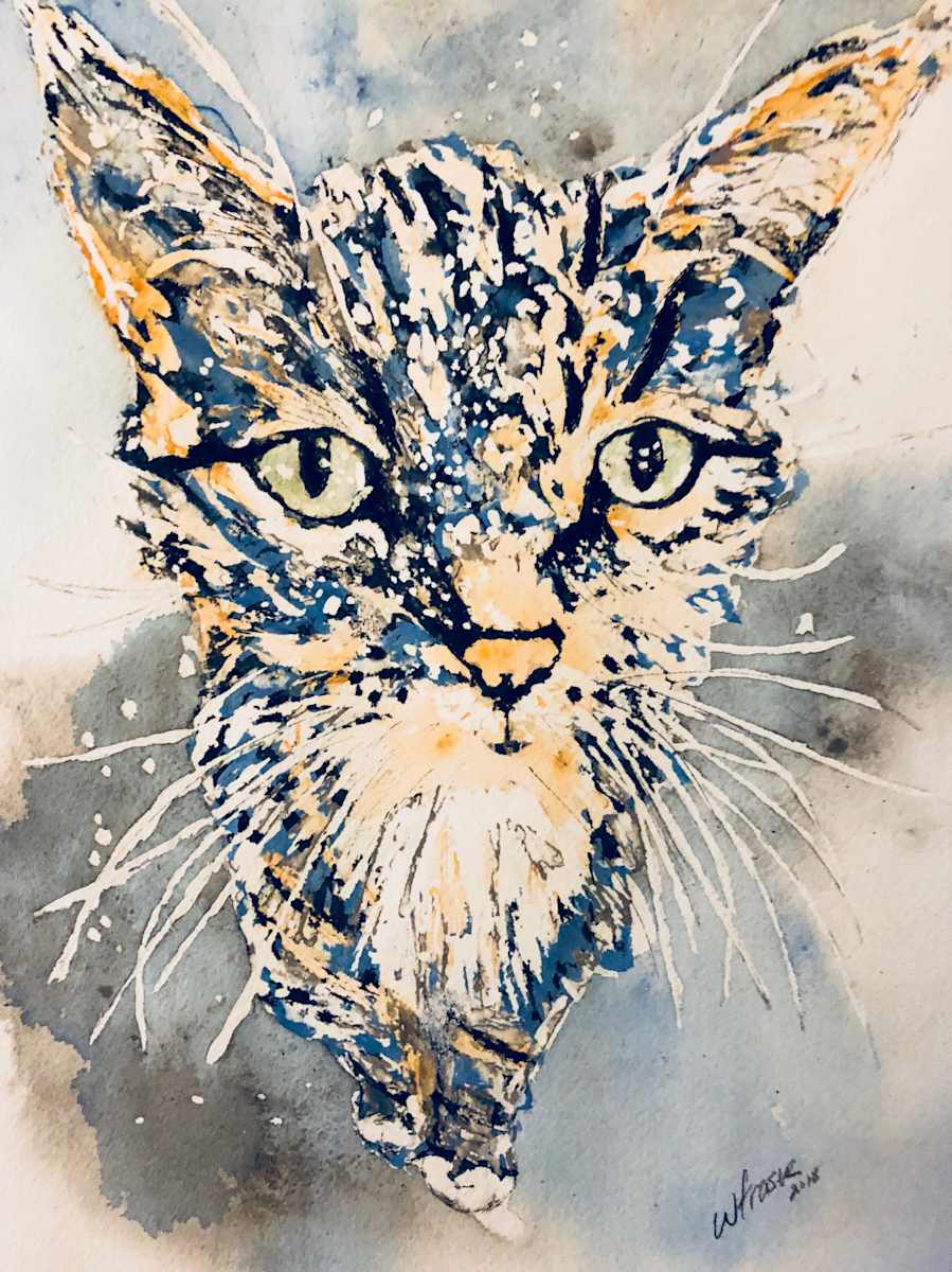 Nikki - Private Collection by Wanda Fraser, Image 1.