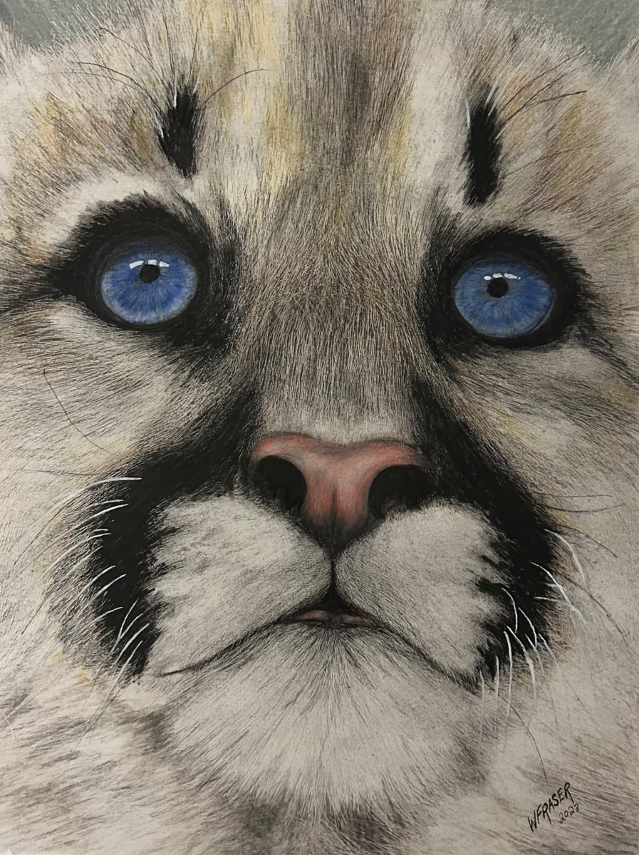 Cheetah Cub by Wanda Fraser 