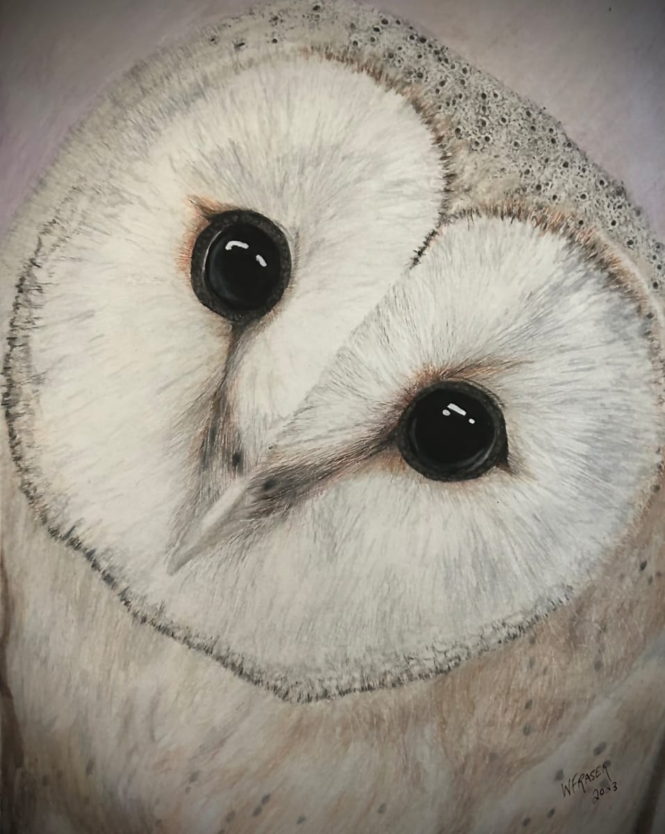 Barn Owl by Wanda Fraser 