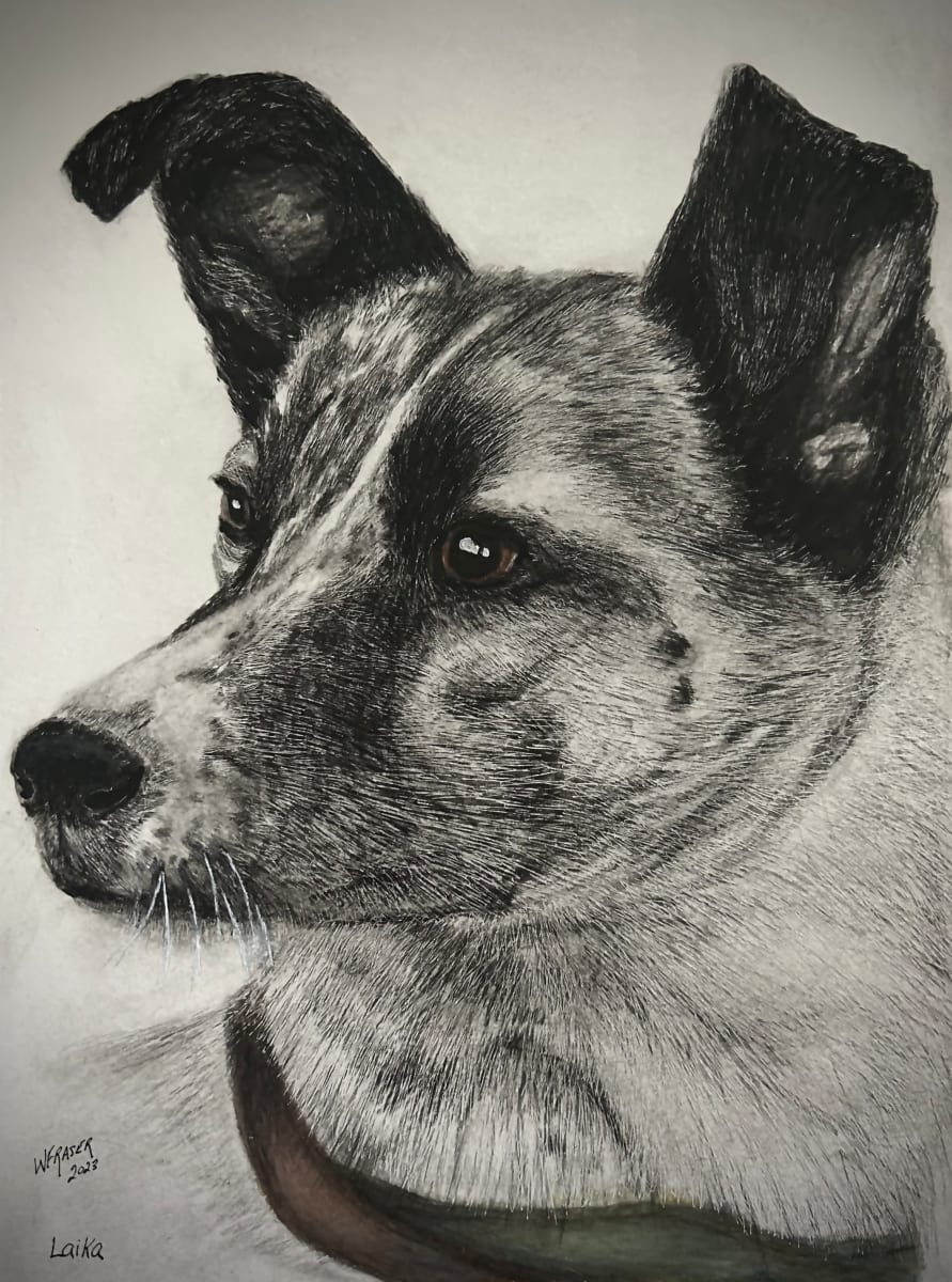 Laika by Wanda Fraser  Image: Sad story of Laika the soviet space dog.