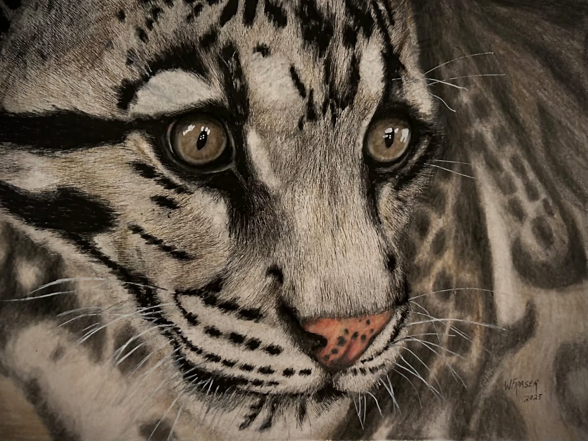 Clouded Leopard by Wanda Fraser 
