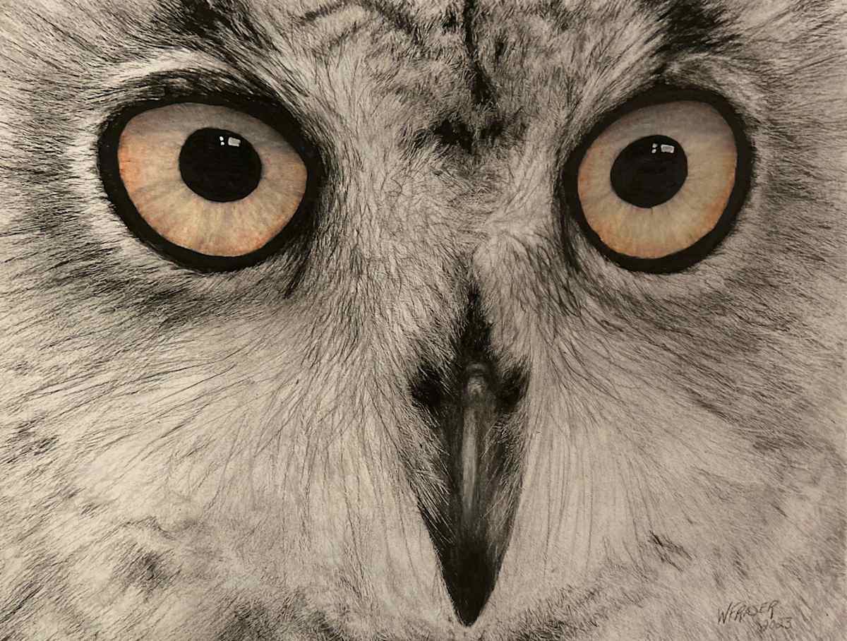 SOLD - Owl by Wanda Fraser, Image 1.