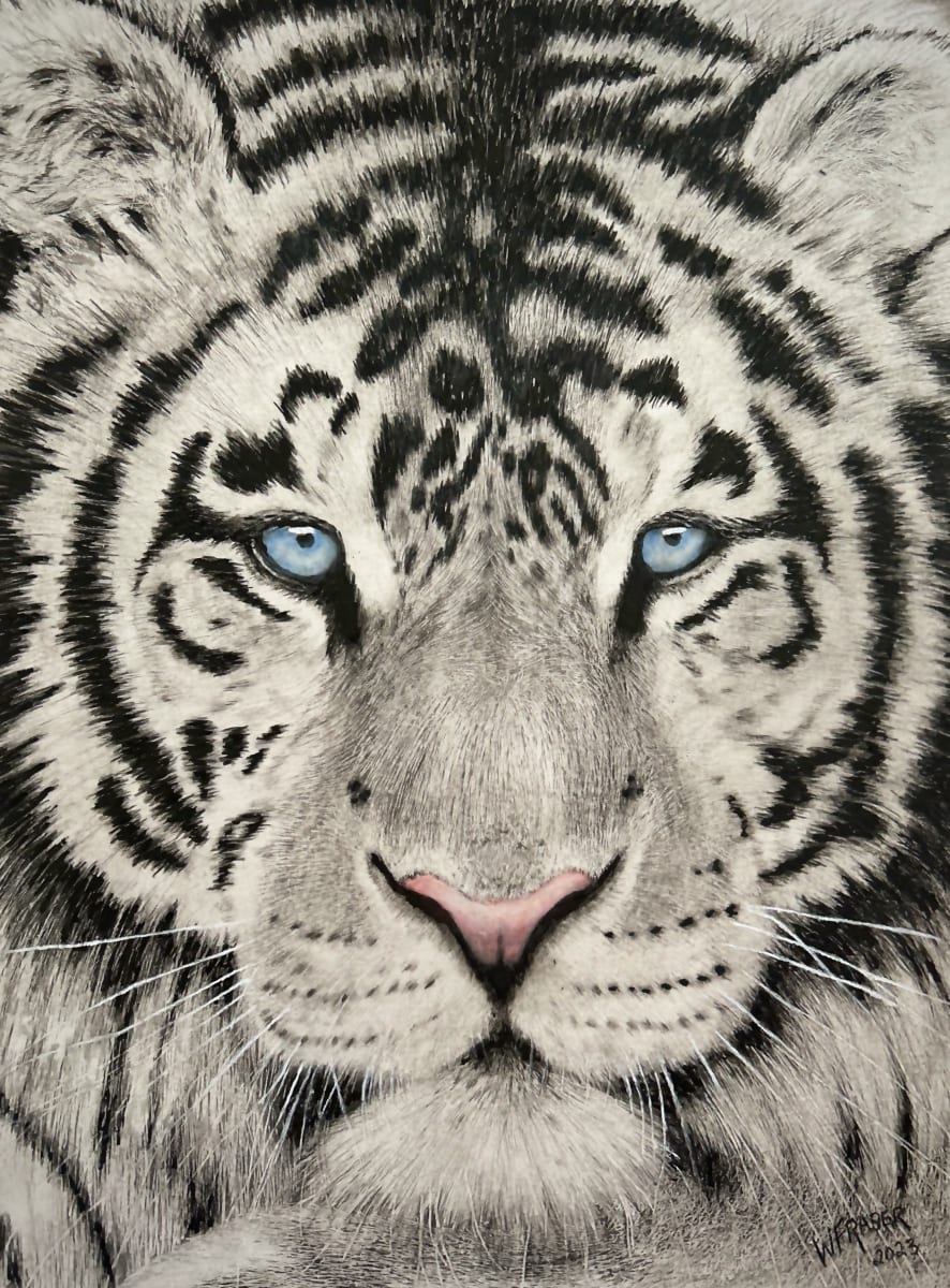 White Tiger by Wanda Fraser 