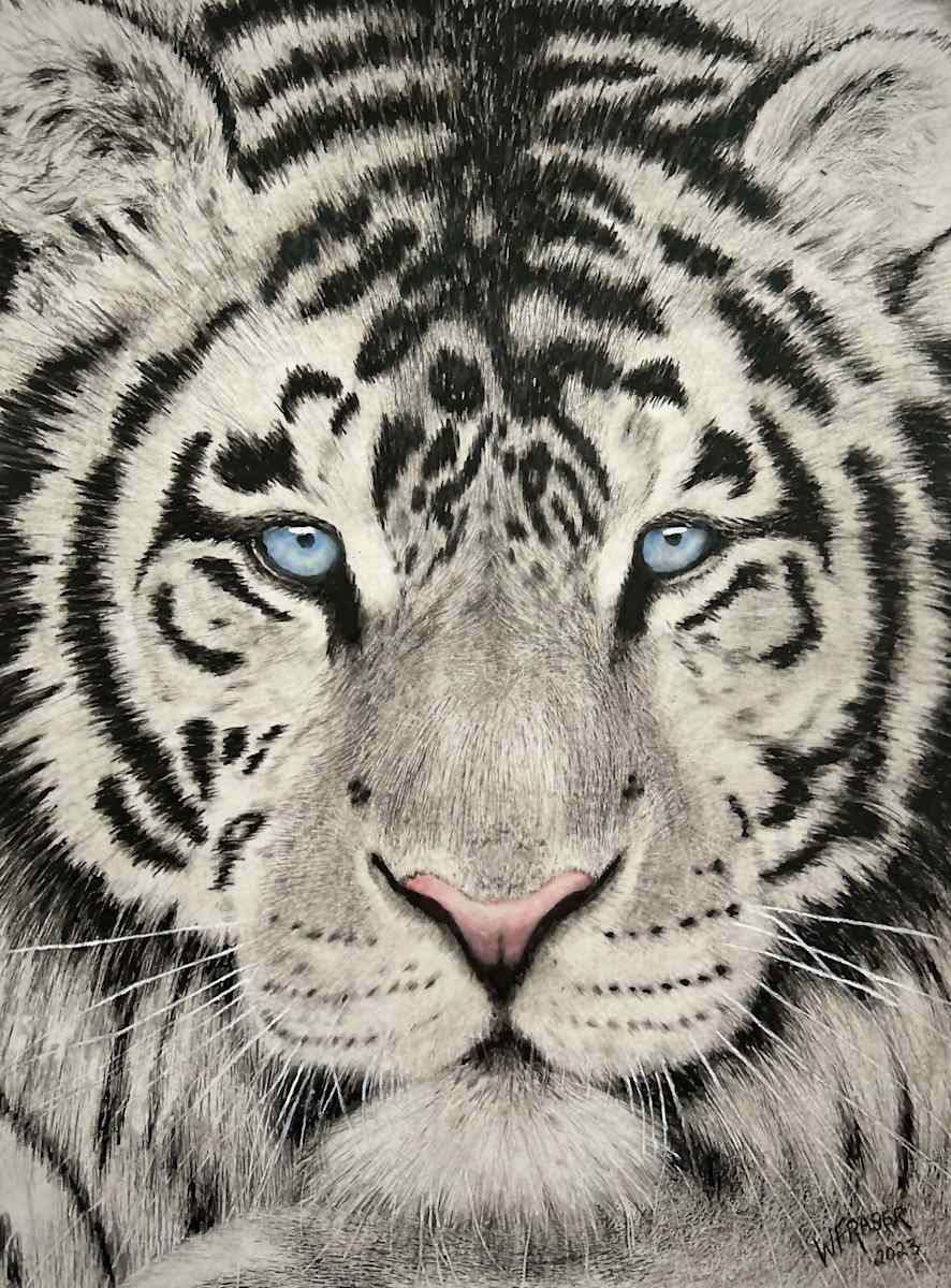 White Tiger by Wanda Fraser, Image 1.